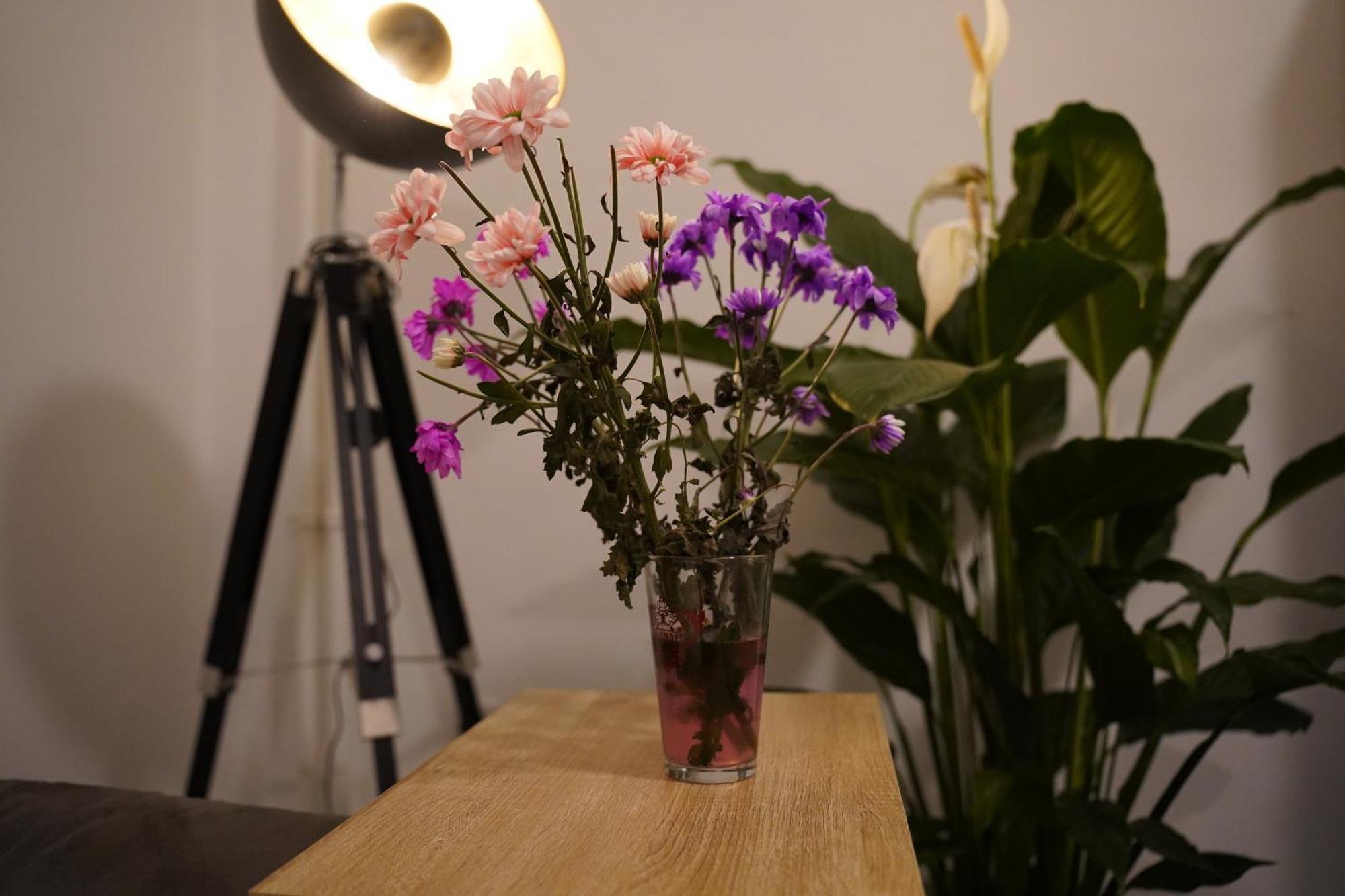 Appartement Im Szenekiez, Berlin
